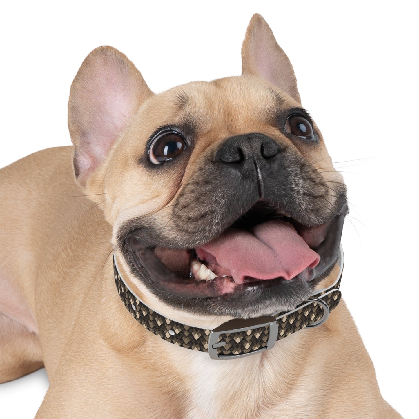 Elegante collare "SNK" per cani - Accessorio unico per animali domestico