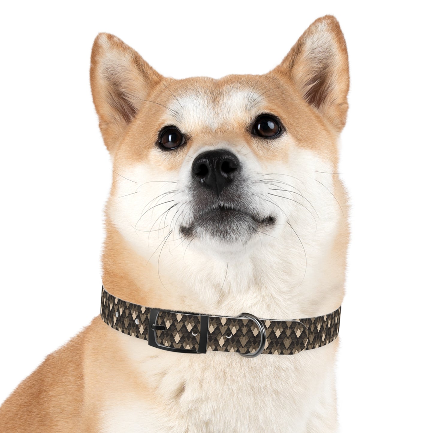 Elegante collare "SNK" per cani - Accessorio unico per animali domestico
